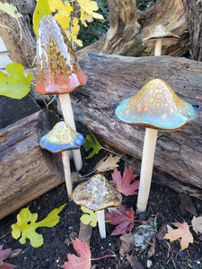 Assorted Small Natural Mushrooms