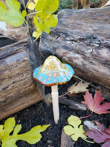 Assorted Small Natural Mushrooms