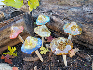 Assorted Small Natural Mushrooms