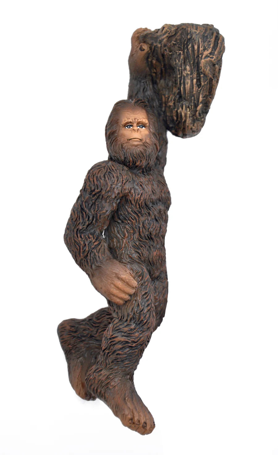 Hanging Out Bigfoot