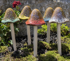Assorted Grande Natural Mushrooms