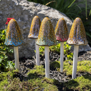 Assorted Tall Natural Mushrooms