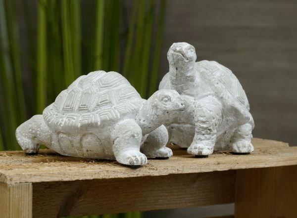 Turtle Set of 2